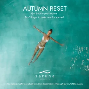 Autumn reset (Skyline)